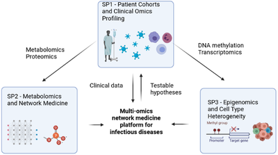 *SP1 focuses on data generation and patient recruitment. SP2 will analyze metabolomics and immuno-proteomics, as well as develop network medicine methodology. SP3 will analyse epigenomic and transcriptomic data and investigate cell type heterogeneity. SP2 and 3 together will build the computational framework for NetfLID in a close feedback loop with SP1. Created with BioRender.com*