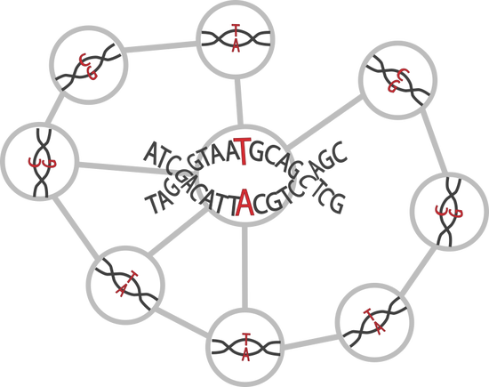 Network-Based Epistasis Detection